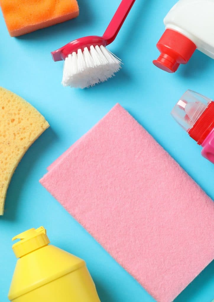 Professional Housekeepers