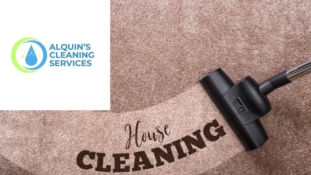 Daily Carpet Care Routines