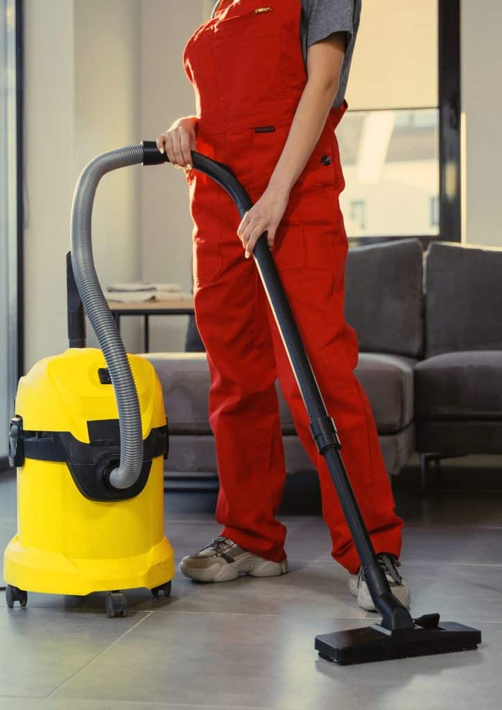 Rental Carpet Cleaners