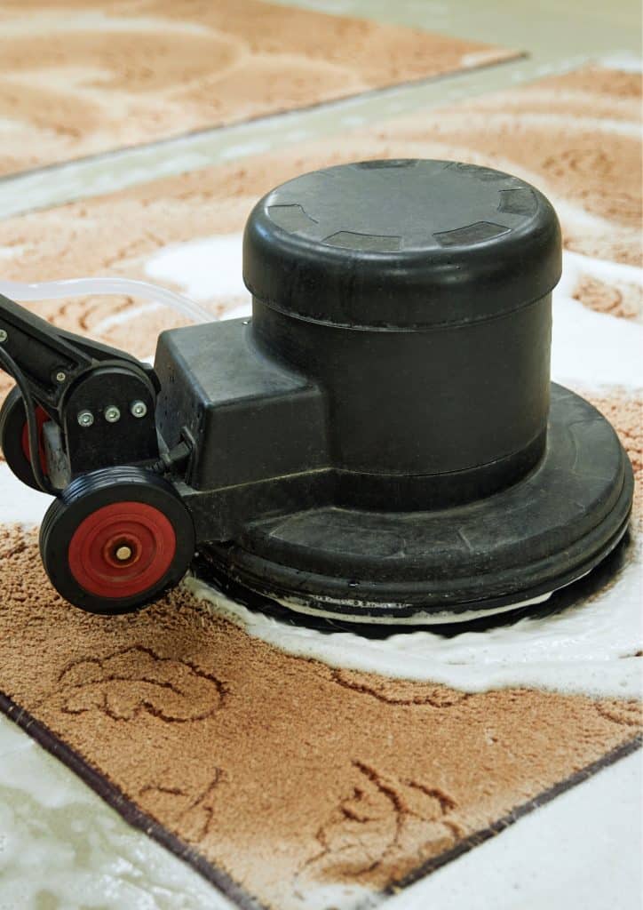 Removing Urine Stains 