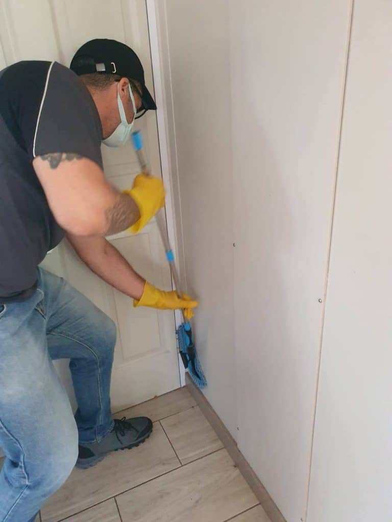 Mold Removal Margate